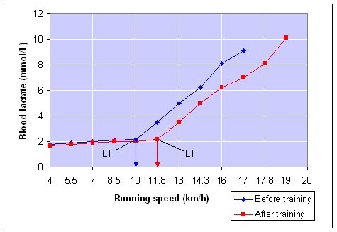 Three Running Workouts to Increase Your Lactate Threshold