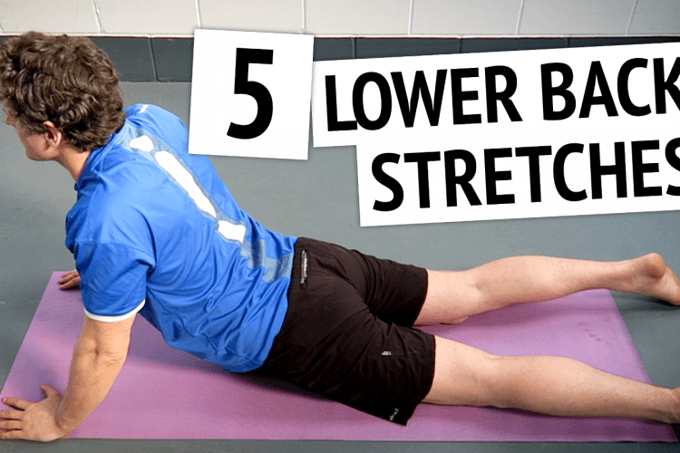 lower back stretches to relieve back pain